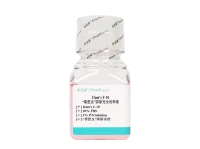 “黑胶虫”清除完全培养基(Ham s F-10,含10% FBS)