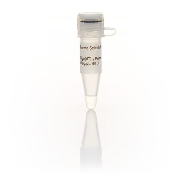 Oligo(dT)18 引物,60μL产品图
