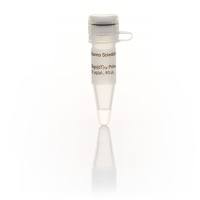 Oligo(dT)18 引物,60μL