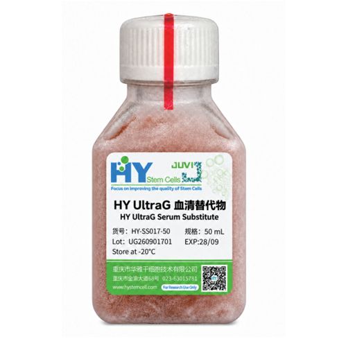 HY UltraG 血清替代物（HY UltraG Serum Substitute）