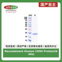 Recombinant Human CD94 Protein(N-His)