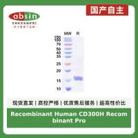Recombinant Human CD300H Recombinant Protein(N-His)