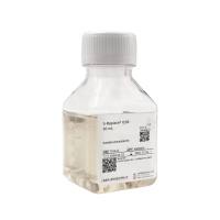 S-Replace® ICSR