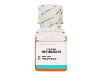 “黑胶虫”清除基础培养基(RPMI-1640)