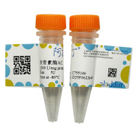 软骨素酶AC,9047-57-8,生物活性,重组,ActiBioPure™,高性能,EnzymoPure™,≥95%(SDS-PAGE),≥100 U/mg enzyme powder; ≥200 U/mg protein,阿拉丁