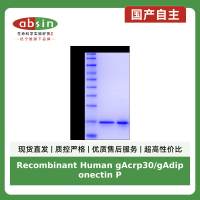 Recombinant Human gAcrp30/gAdiponectin Protein
