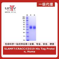 SLAMF7/CRACC/CD319 His Tag Protein, Human
