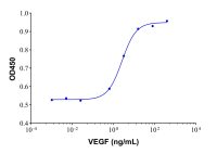 Recombinant Human VEGF Protein，127464-60-2，无动物源,无
