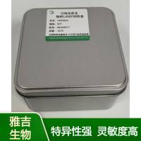 甲型流感禽流感病毒61亚型可视化荧光染料LAMP试剂盒