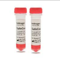 SafeCount细胞活力染料
