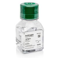 MgCl2 (1 M)