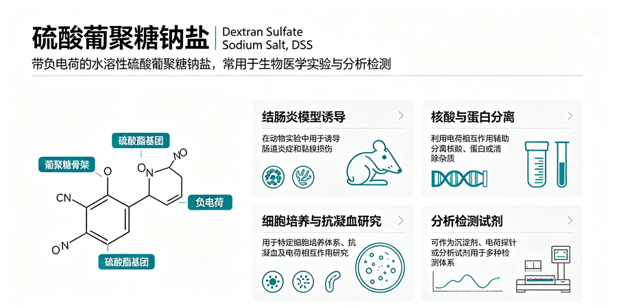 新闻图片1