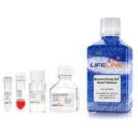 LL-0061|LifeLine MammaryLife® 乳腺上皮细胞无血清培养套装