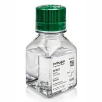 NaCl (5 M),无 RNase