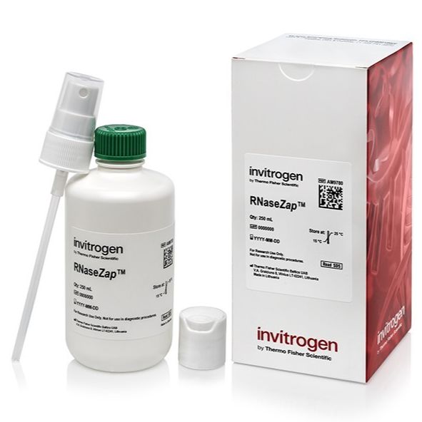 Invitrogen™ RNaseZap™ RNase 去污溶液(250 mL)
