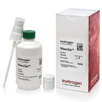 Invitrogen™ RNaseZap™ RNase 去污溶液(250 mL)