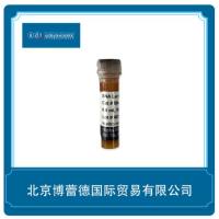 Rabbit Anti CHIKV E2 protein IgG