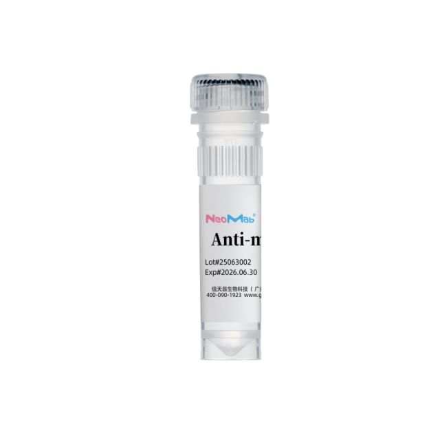 RecomAb™ anti-Human CD16 mAb [Clone 3G8]