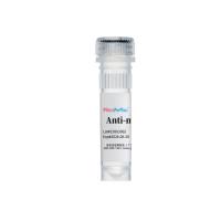 RecomAb™ anti-Human CD16 mAb [Clone 3G8]