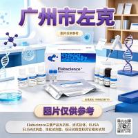 小鼠骨髓来源树突状细胞培养和鉴定试剂盒