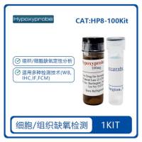 Hypoxyprobe RedAPC Kit缺氧探针试剂盒 HP8-100Kit