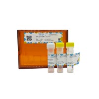RTL 逆转录酶（无甘油），BioReagent, PCR试剂, 用于DNA合成, 分子生物学级, EnzymoPure™, 无RNA酶, 用于体外转录, for DNA and RNA applications, 15 U/μL，阿拉丁