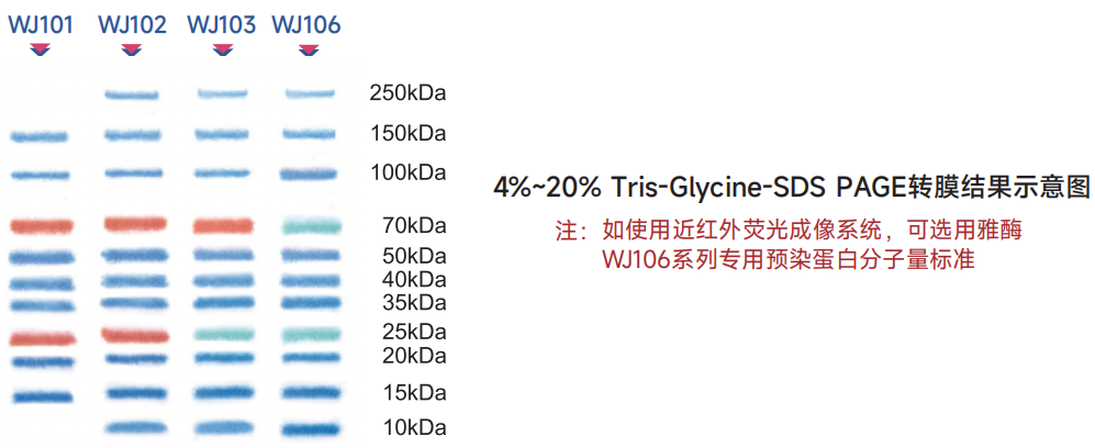 产品细节图片5