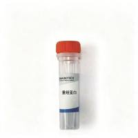 猴CLEC9A蛋白, hFc标签