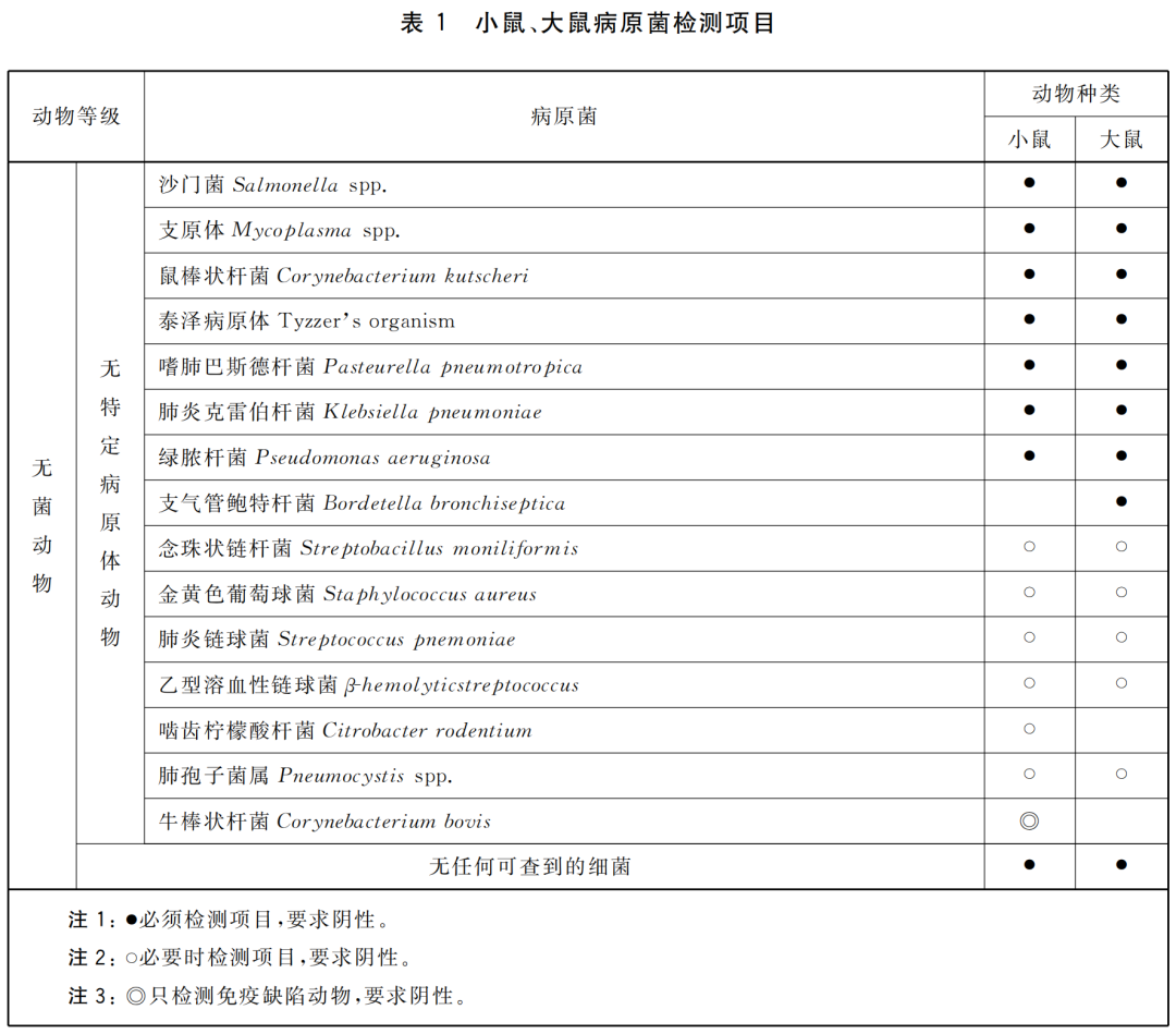 养鼠专家 | 被实验小鼠咬了怎么办？