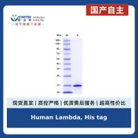 Human Lambda, His tag