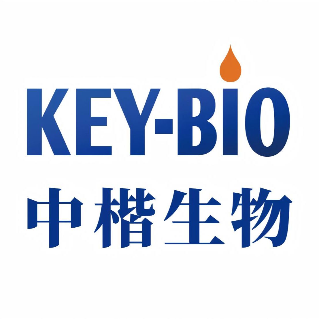[ALP]化学发光底物