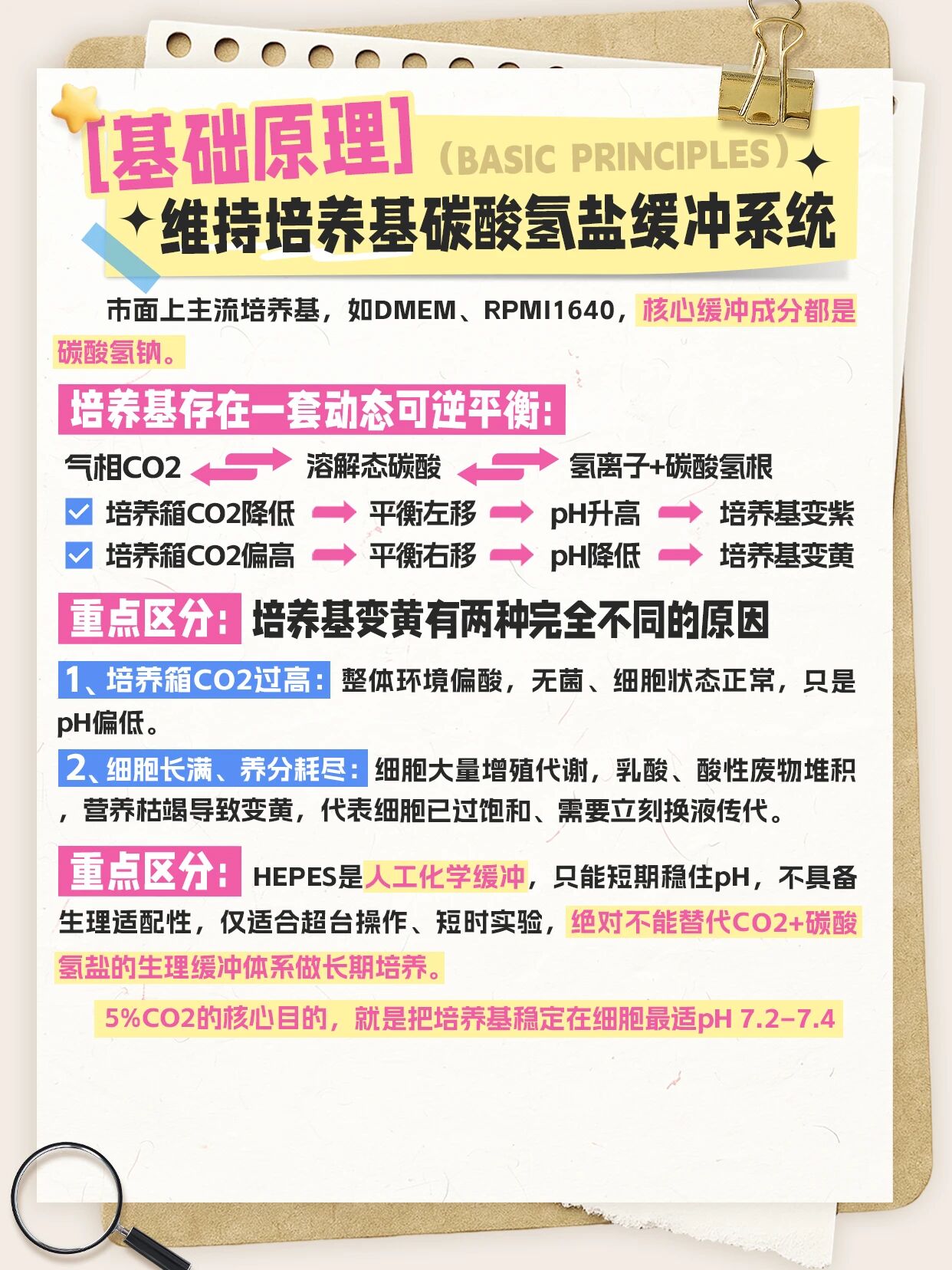 细胞培养为何用5%CO₂？不止调节pH，细胞培养箱CO₂设置的关键作用