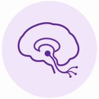 神经病理性疼痛药效评价