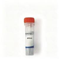 EGFR(panitumumab)参照抗体
