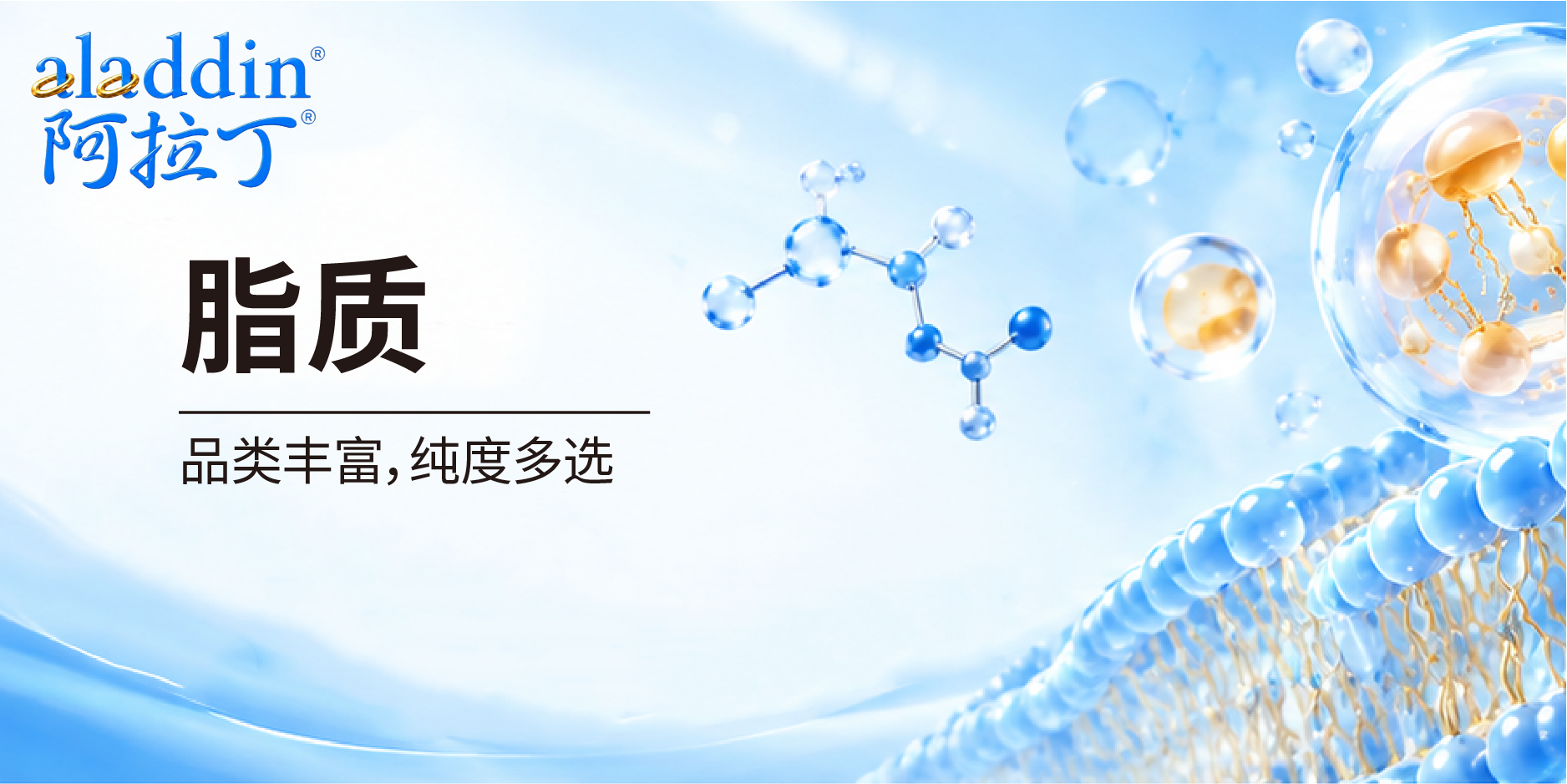 【阿拉丁】脂质≠脂肪！从细胞代谢到 mRNA 递送认识脂质的多重功能