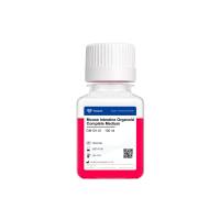 Mouse Intestine Organoid Complete Medium