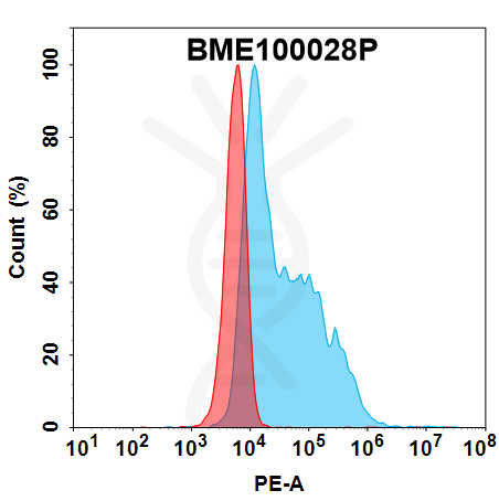 bme100028p-bcma-fc1.png