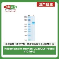 Recombinant Human CD300LF Protein(C-hFc)