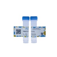 磷酸酶抑制剂混合物 (50X),BioReagent, 通用型,不含EDTA, 50X,阿拉丁