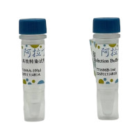 siRNA高效转染试剂 ,BioReagent,用于细胞培养,分子生物学级,无菌,阿拉丁
