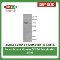 Recombinant Human CD320 Protein (N-terminal GST)