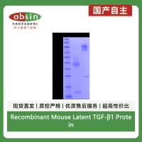 Recombinant Mouse Latent TGF-β1 Protein
