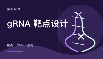 CRISPR gRNA怎么设计