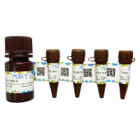 总抗氧化能力检测试剂盒 (FRAP法)，BioReagent，阿拉丁