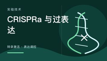 CRISPRa和基因过表达有什么区别