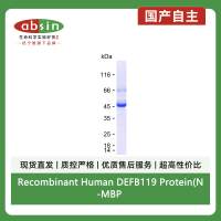 Recombinant Human DEFB119 Protein(N-MBP & C-His)