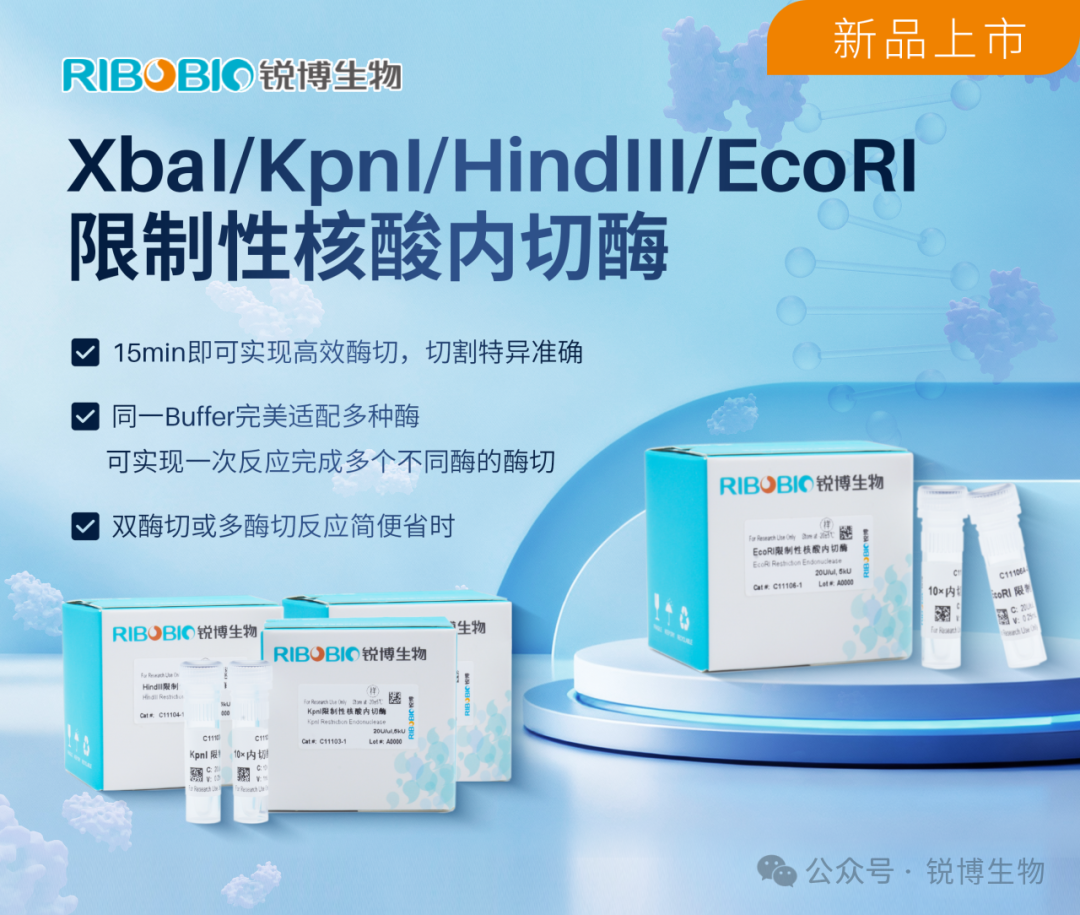 新品上市丨XbaI/KpnI/HindIII/EcoRI限制性核酸内切酶