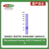 Recombinant Human ASIC3 Protein(C-His)