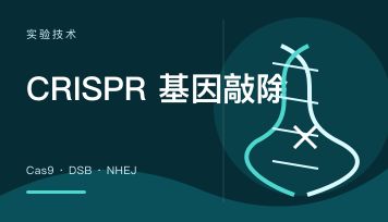 CRISPR_Cas9基因敲除的原理是什么