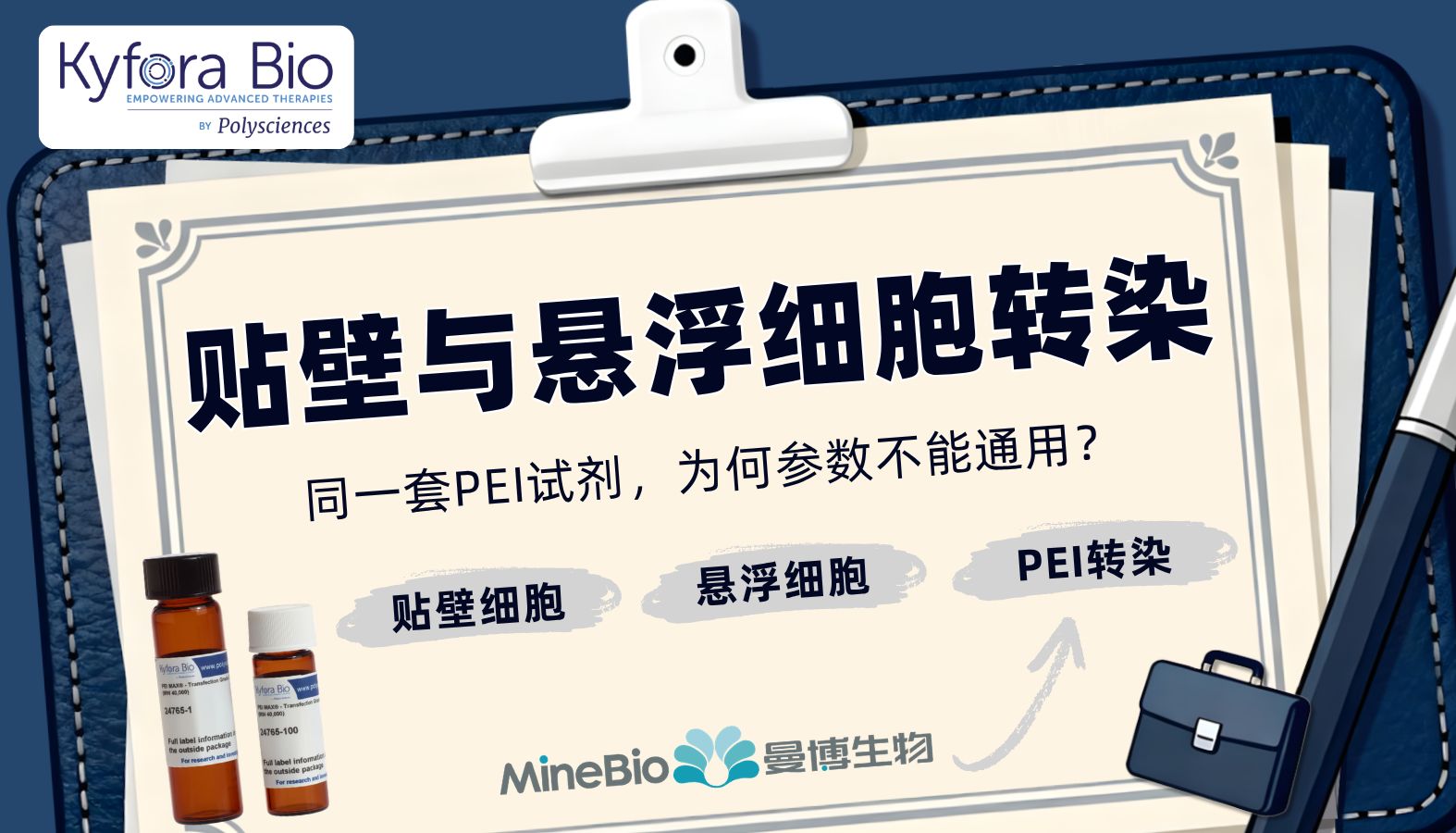 贴壁与悬浮细胞转染：同一套 PEI 试剂，为何参数不能通用？